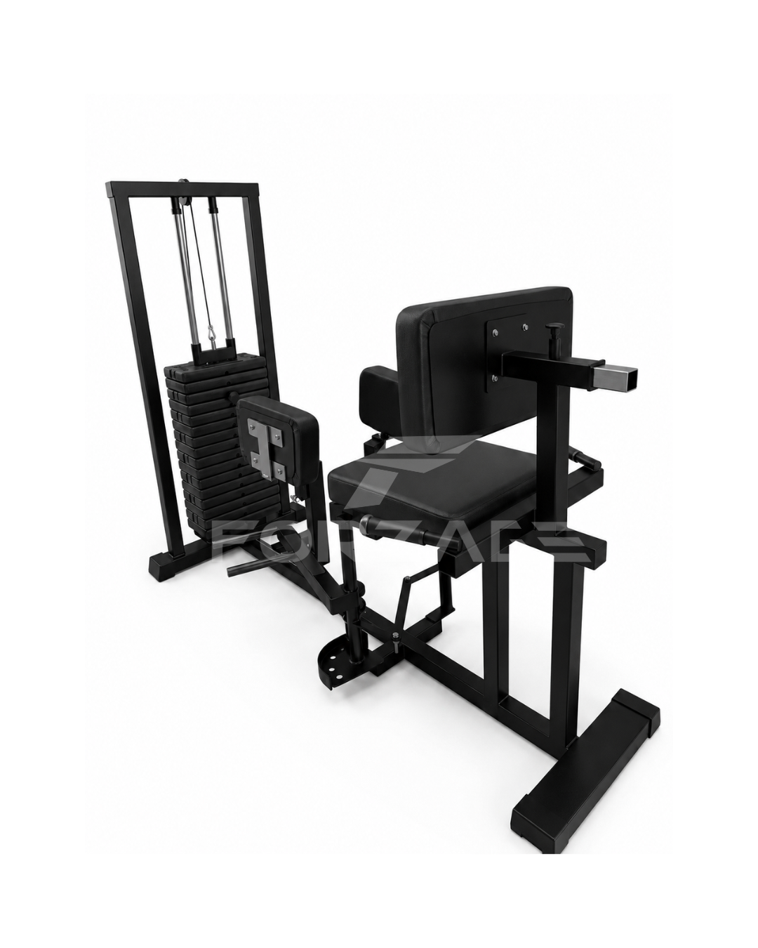 Abductor / Aductor