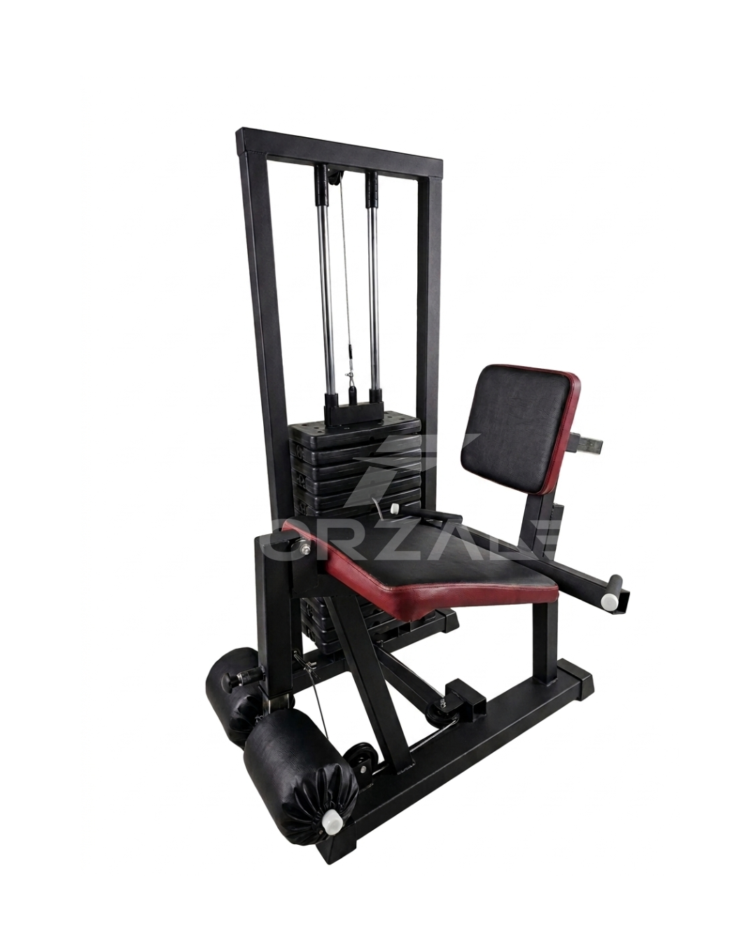 Cuadriceps 80KG